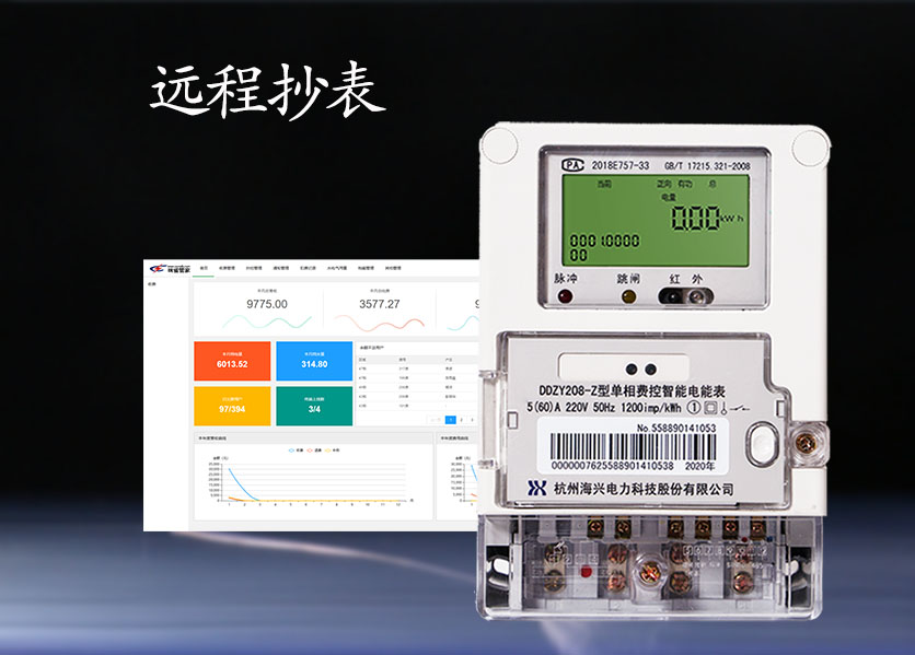 遠程抄表（biǎo）