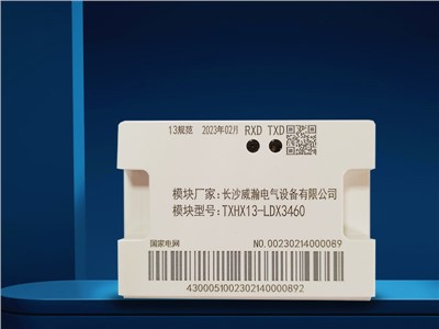 模塊TXHX13-LDX3460長沙威瀚（hàn）國家電網