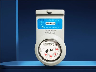 電子遠傳冷水水表LXSY-20D